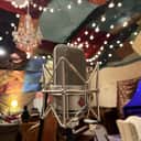 Neumann TLM 49 Large Diaphragm Cardioid Condenser Microphone 2006 - Present - Nickel