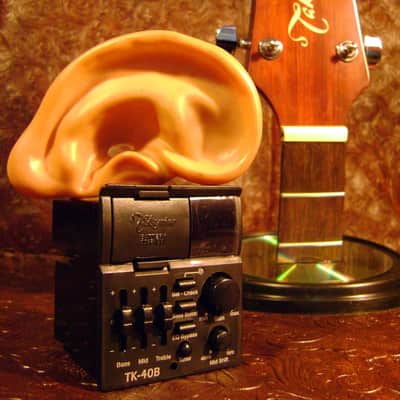 Takamine TK-40B BASS G Series Acoustic BASS Guitar preamp NEW image 1