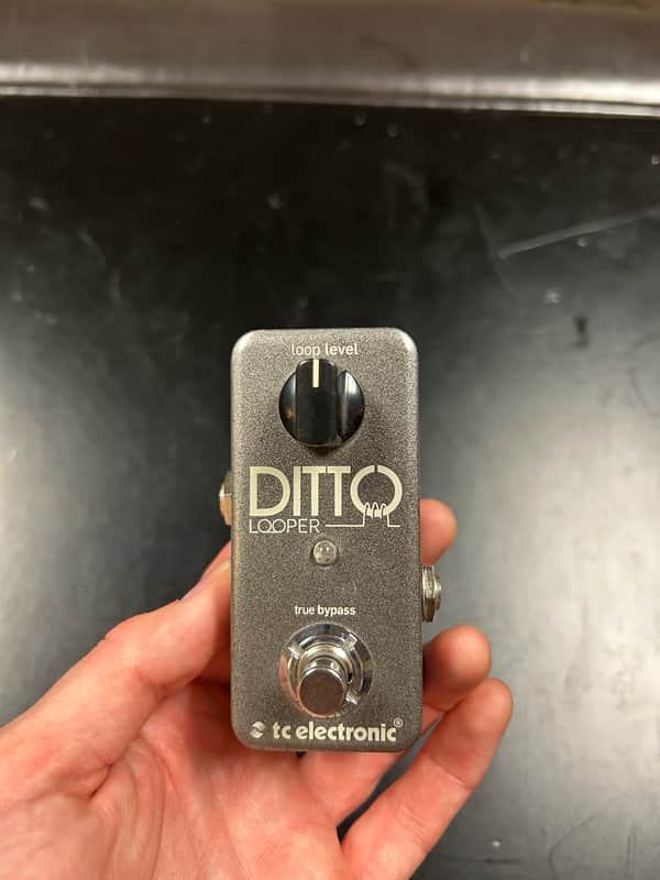 TC Electronic Ditto Looper 2013 - Present - Black image 1