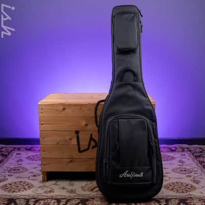 Aria Pro II SB-1000B Oak image 12