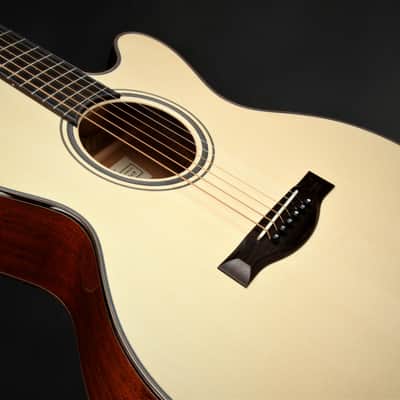 ON HOLD - Santa Cruz FS (Fingerstyle) MC Custom image 15