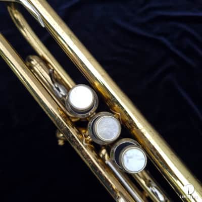 Vincent Bach TR200 Step-Up Bb Trumpet  Lacquered Brass gamonbrass image 11