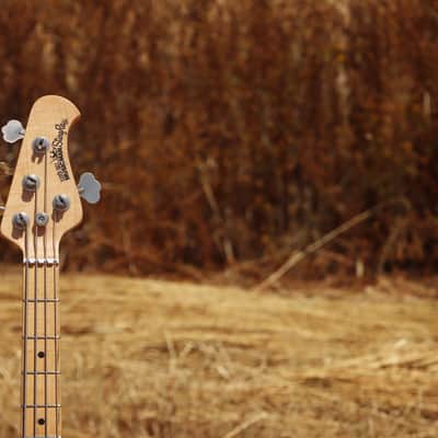 Ernie Ball Music Man StingRay 4 2EQ H 2014 đź–¤ image 3