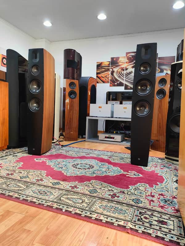 SCANSONIC BY RAIDHO Q10 image 1