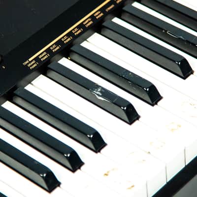 Casio CDP-130 Owned by Travis Barker image 6