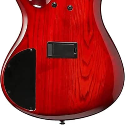 Ibanez ANB205 Adam Nitti Signature 5-String Bass Guitar, Maple Fingerboard, Transparent Wine Red Burst image 3