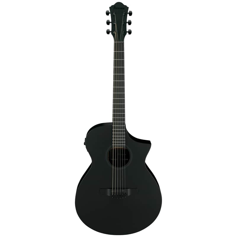 Ibanez AEWC621 image 1