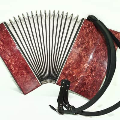 Russian Lightweight Piano Accordion 60 Bass Yunost for Beginners Children Kids, New Straps, Small Concertina Musicales for Study, 2550 image 8
