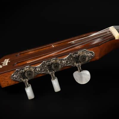 2012 Taylor 312ce-N LH - Natural | USA All Solid Crossover Classical Lefthand Guitar Nylon Cutaway Pickup | OHSC image 13