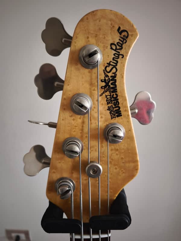 Ernie Ball Music Man StingRay 5 H image 1