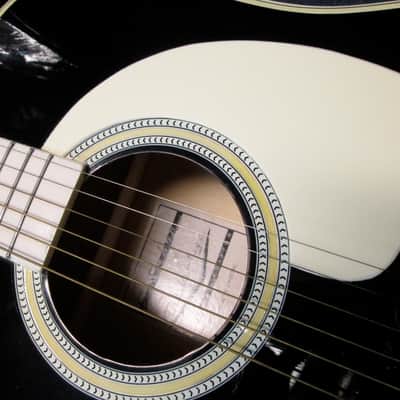 ESTEBAN Acoustic Electric Guitar The Vintage Limited Edition LOCAL ONLY image 2