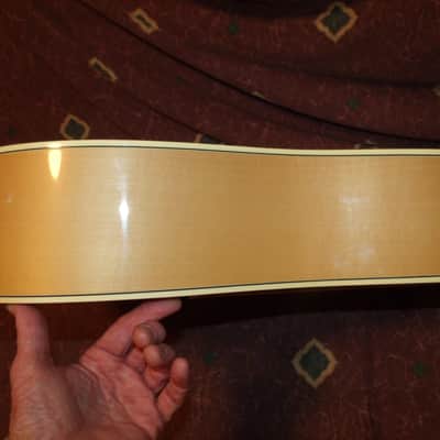 Vintage ca 1976 Ibanez Japan 699 Concord acoustic guitar image 10