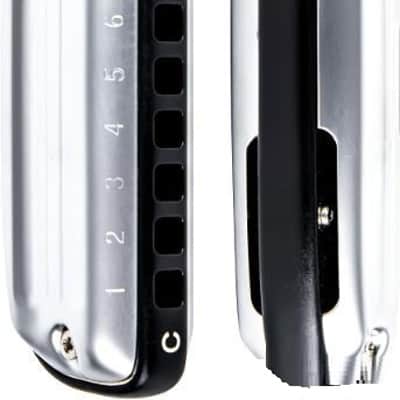 10 Harmonica, Professional 10 Holes Mouth Organ For All Levels Adults, Professionals and Players image 3