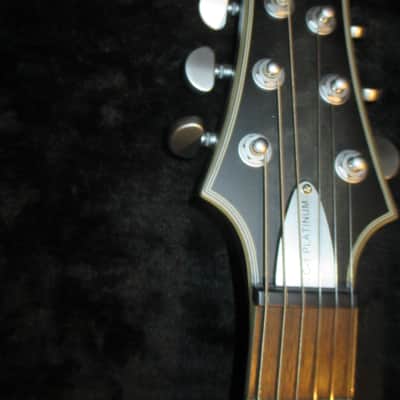 Schecter C-1 Platinum Electric Guitar image 4