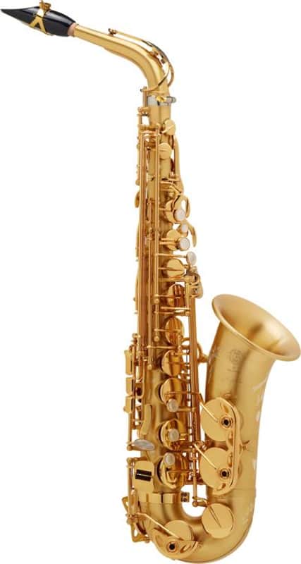 Selmer Paris 82 Signature Series Professional Alto Saxophone - Brushed Lacquer image 1