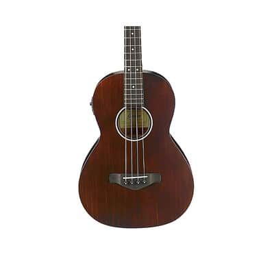 Ibanez Avnb1 Ebv image 2