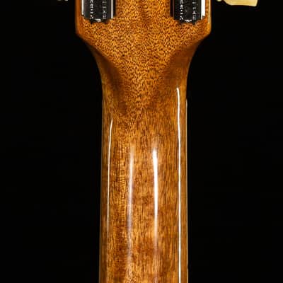 Gibson Les Paul Standard 50s Plain Top Ebony Top (017) image 6