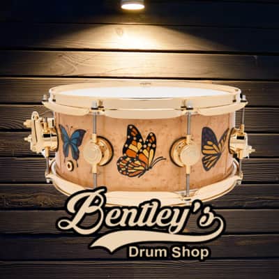*LIMITED EDITION* DW Collector's Series Sheila E. ICON Signature 5.5x13 Pure Maple Snare Drum w/ Gold Hardware & Deluxe Case image 1