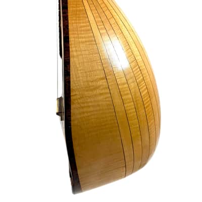 Concert Mandolin G. Kasermann (Carlo Sartori Label) from 1929 image 7