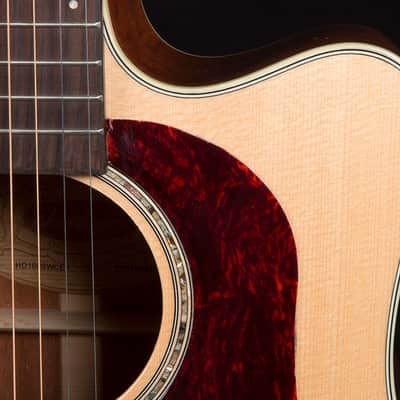 Washburn Heritage D100SWCE w/Case image 3