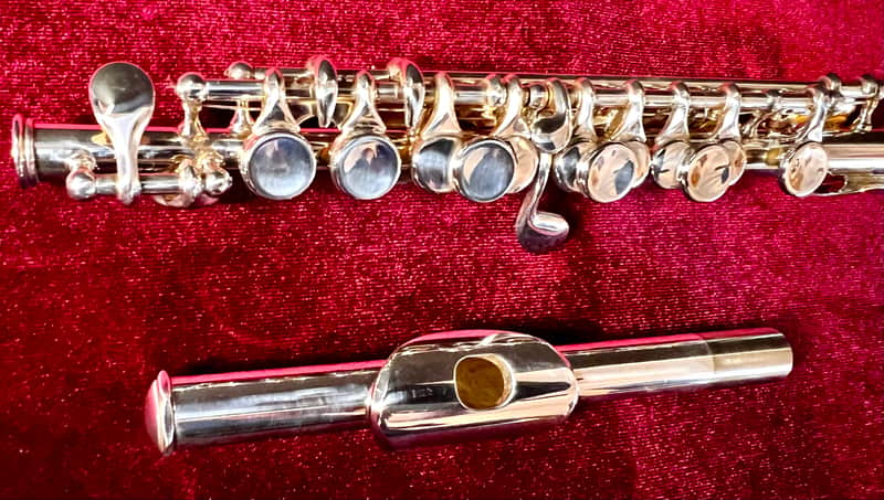 Immagine Gemeinhardt 4SP Piccolo 🔥 Gorgeous 🔥 Play Perfect 🔥 - 1