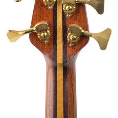Used Acacia Custom Long Scale 5-String Bass Quilted Maple w/Mahogany, Maple, and Bubinga Neck #NSN image 6