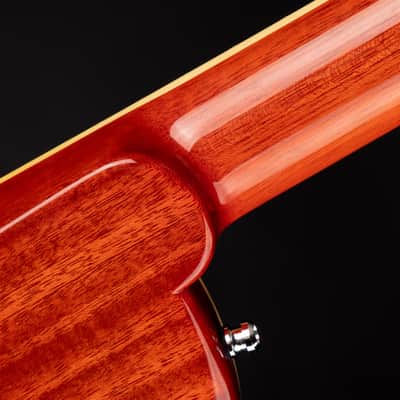 Marchione 57 Master Burst - Sunburst image 11