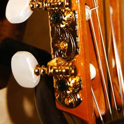 Hohner Contessa HG-14 Nylon String MIJ image 7