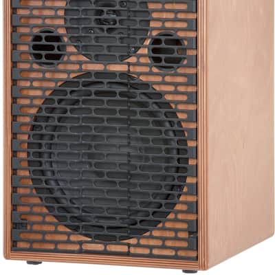 Acus Sound ONEFORSTREET 8 Acoustic Guitar Amplifier (90 Watts, 1x8") image 3