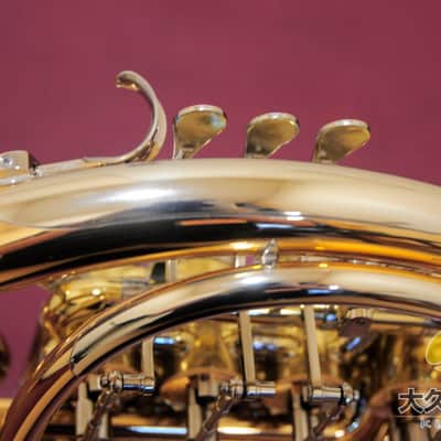YAMAHA YHR-869GD Full Double Horn image 12