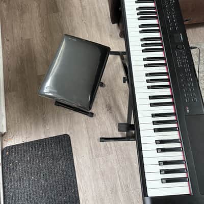 PE-88 88-Key Piano image 4