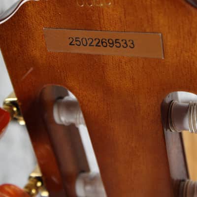 Washburn EACT42S Thinline Classical Nylon String Acoustic Electric Guitar image 15
