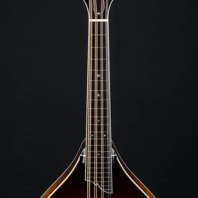 Collings MT2 Mandola Sunburst Adirondack Spruce and Flamed Maple NEW image 10