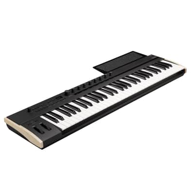 Teclado controlador KORG Keystage 61 image 4