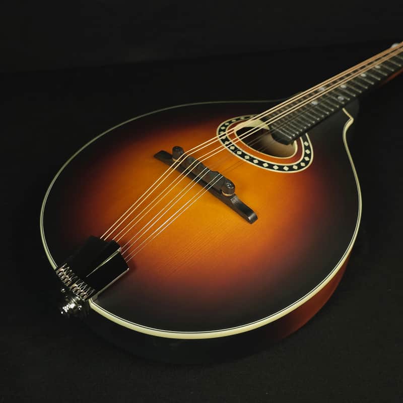 Eastman MD304E Electric A Style Oval Hole Electric K&K Mandolin with Bag image 1