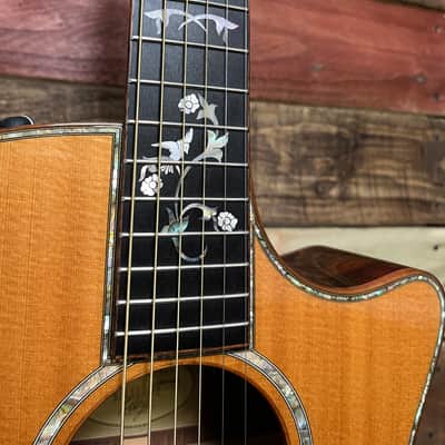 Taylor 914ce with ES1 Electronics 2010 - Natural image 10