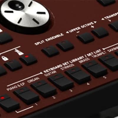Korg PA 700 image 4
