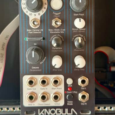 Immagine Knobula Pianophonic 2026 - 2