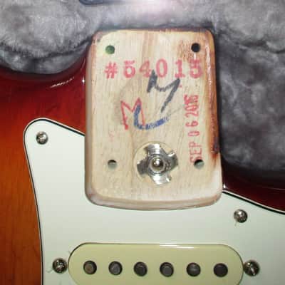 Fender Stratocaster Loaded Body Fender 2016 image 4