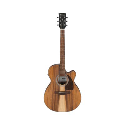 Ibanez PC50WSCE Acoustic-Electric Guitar - Open-Pore Natural image 2