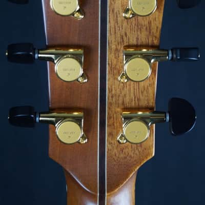 Brand New Avalon A1-Oak Cara Series with Cedar / Ancient Bog Oak image 14