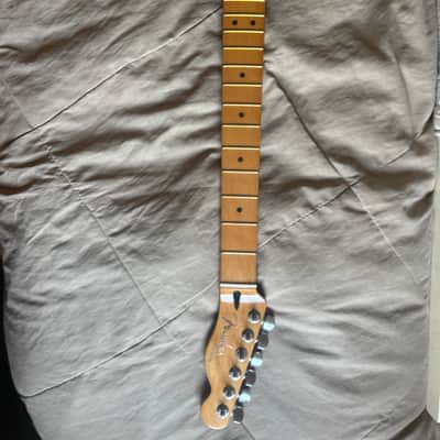 Fender Player Plus Tele neck 2023 - Maple image 7