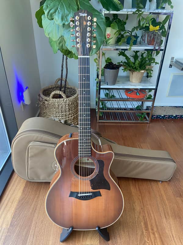 Taylor 354ce Studio Special Edition