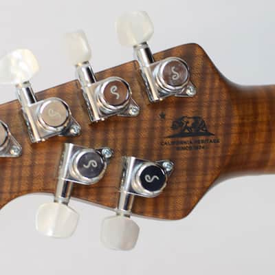 Music Man Albert Lee BFR Cherry Punch HH Bild 6