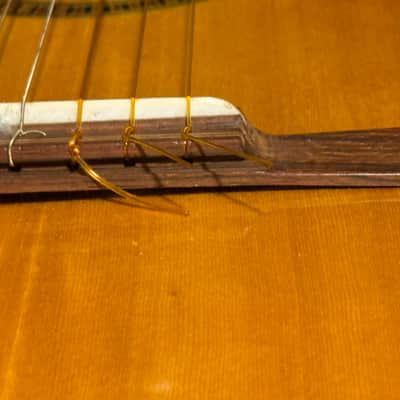 Vintage Giannini GN-60 Classical Guitar image 19