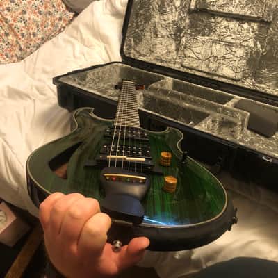 Equator Instruments Languedoc style Hollowbody Guitar image 13