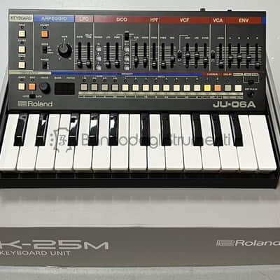 Roland Kit Juno 06A - K 25m Kit 4-voice synthesizer with usb audio interface + ... image 2