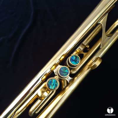 Adams a4Lt 5,5 inch bell Marcus Bona case GAMONBRASS case mouthpiece image 11