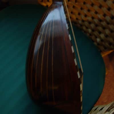 Francesco Salome Fabrica Di Mandolini Neapolitan Bowl-Back Mandolin - Natural image 11