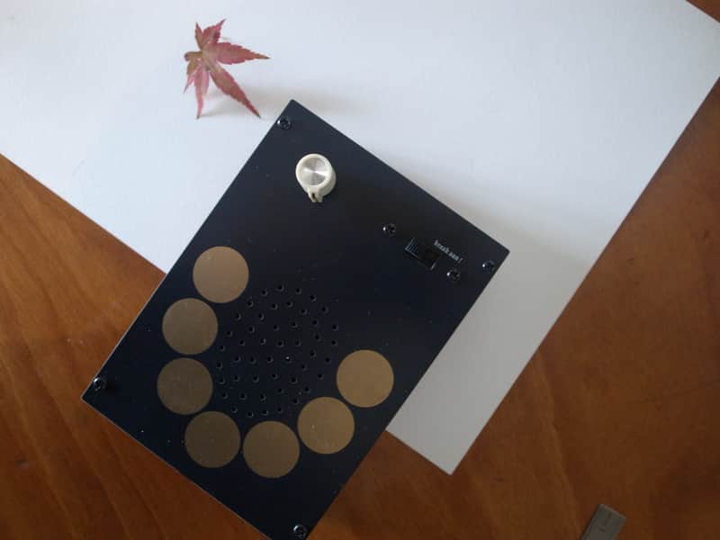 Atelier 113 Cracklebox, Kraakdoos 2024 - Waxed wood, Bois ciré image 1